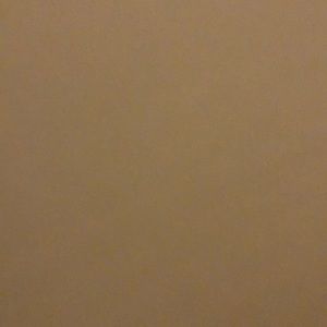 Meet your Posher, Anastasia